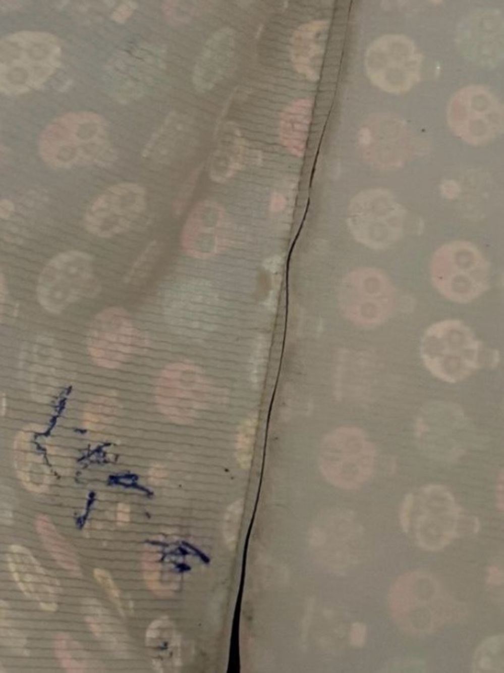 Consuela Tiny Sugar Skulls Basic Bag Large Tote Authentic - Picture 4 of 8